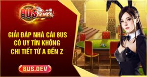 giải đáp về 8us