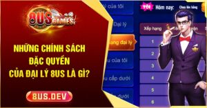 Chính sách đặc quyền của đại lý 8US