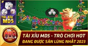 tài xỉu md5