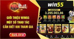 Giới thiệu WIN55