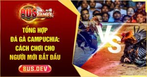 tổng hợp đá gà Campuchia