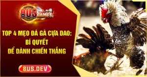 mẹo đá gà cựa dao