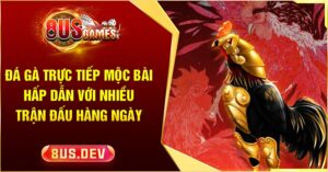 Đá Gà trực tiếp Mộc Bài