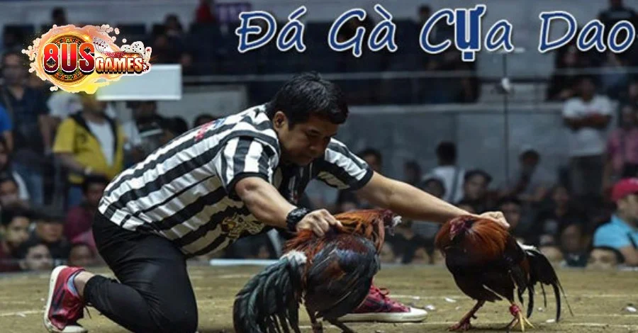 Khái niệm và mẹo Đá Gà Cựa Dao