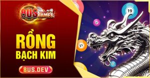 Cách chơi Rồng Bạch Kim